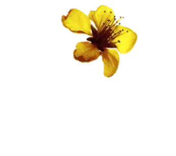 Logotipo Jardim dos Ipês - Jataí/GO